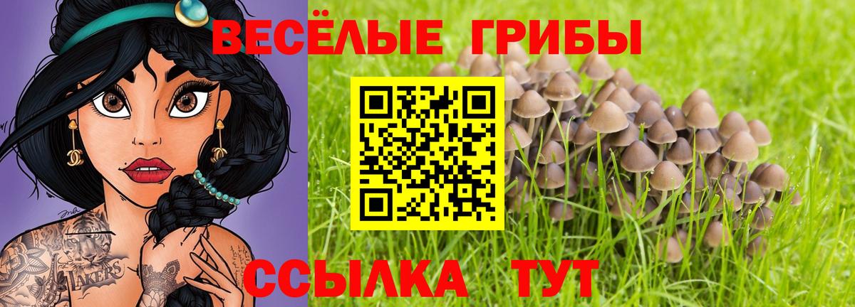 Псилоцибиновые грибы Psilocybine cubensis Волжский