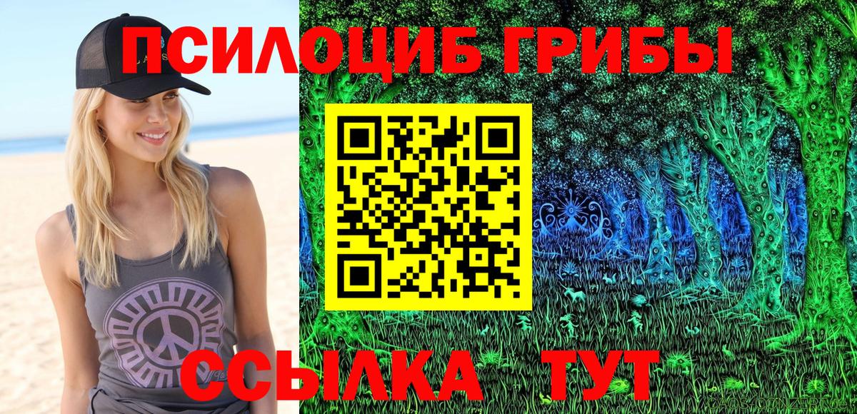 Волжский  Псилоцибиновые грибы прущие грибы  Вход с VPN 